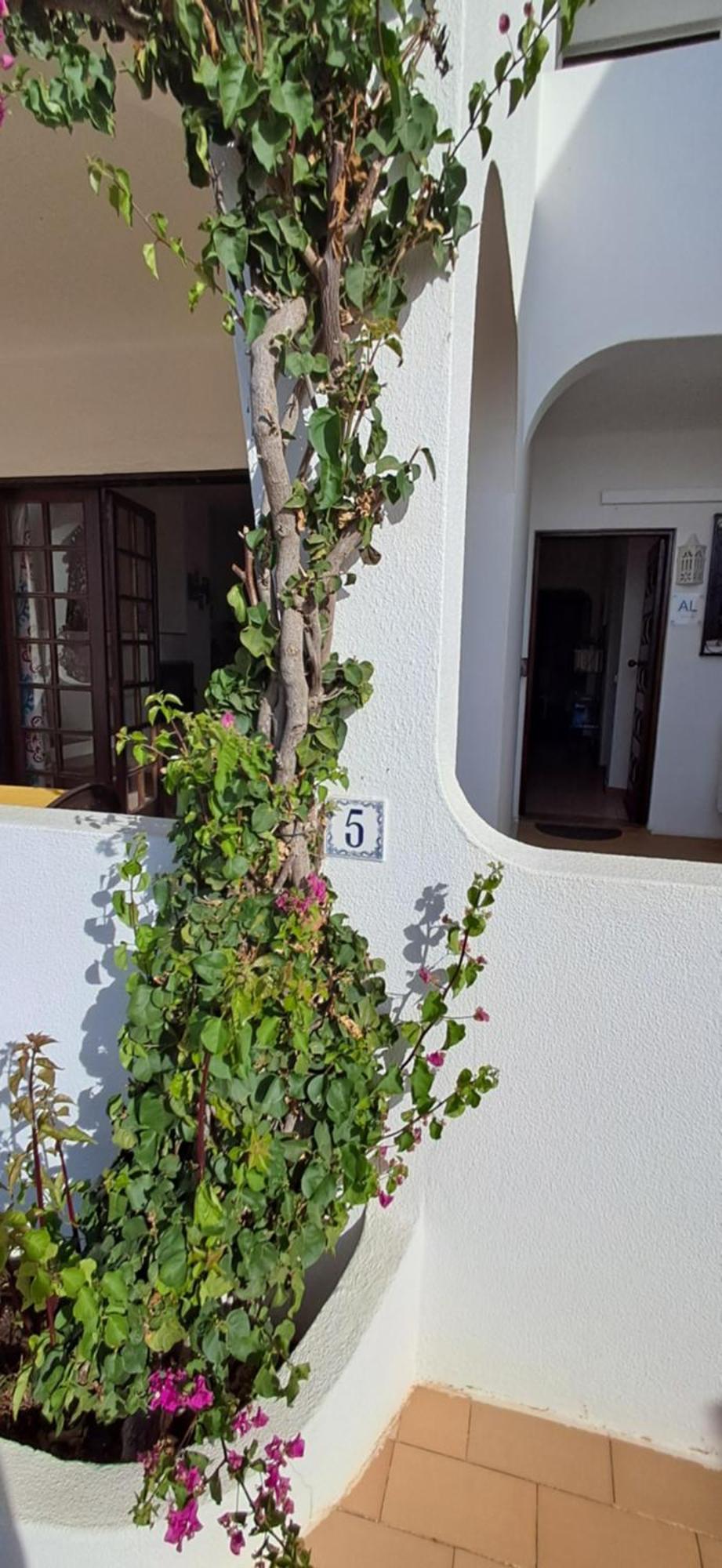 Apartamento Neptuno 베나질 외부 사진